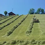 Haus Schoenleiten Apartament *