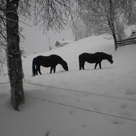 Haus Schoenleiten Wagrain