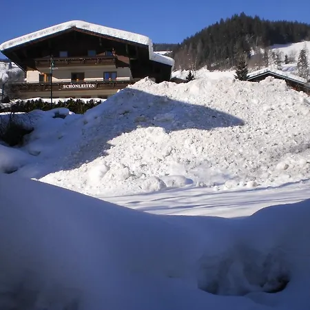 Appartement Haus Schoenleiten Wagrain