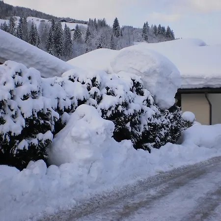 Haus Schoenleiten شقة واغراين