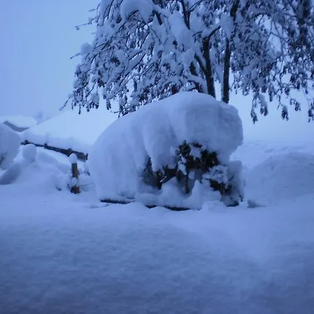 Appartamento Haus Schoenleiten *