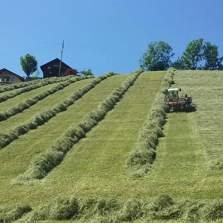 Haus Schoenleiten Appartamento *