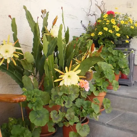 Haus Schoenleiten Appartamento