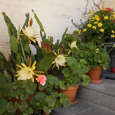 Haus Schoenleiten Appartement *