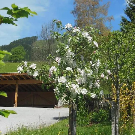 Appartamento Haus Schoenleiten *