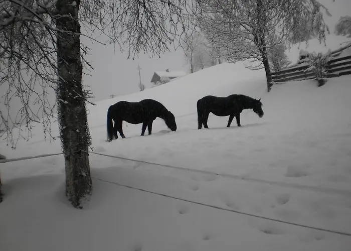 Haus Schoenleiten Ваграйн