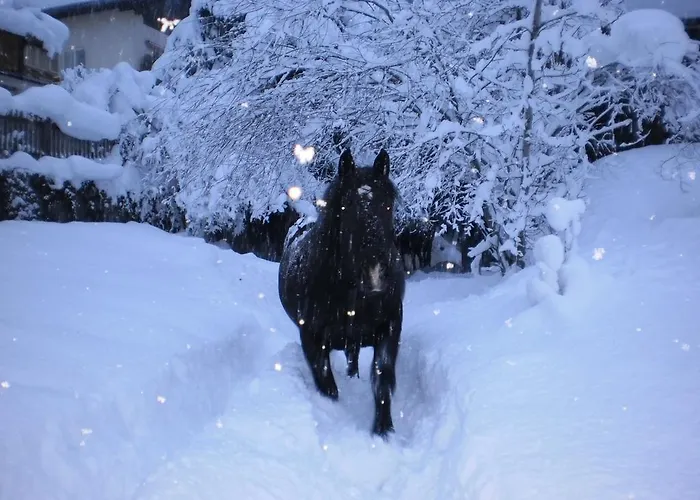 Haus Schoenleiten 公寓 *