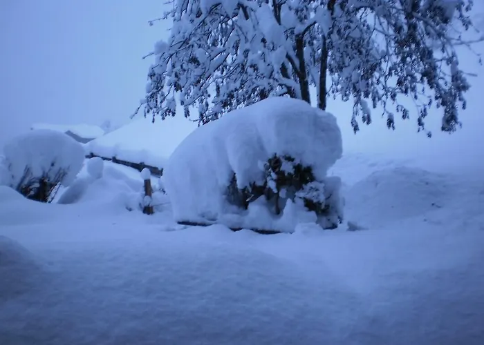 公寓 Haus Schoenleiten *