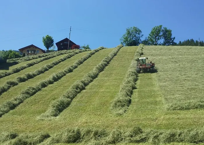 Haus Schoenleiten Апартаменты *