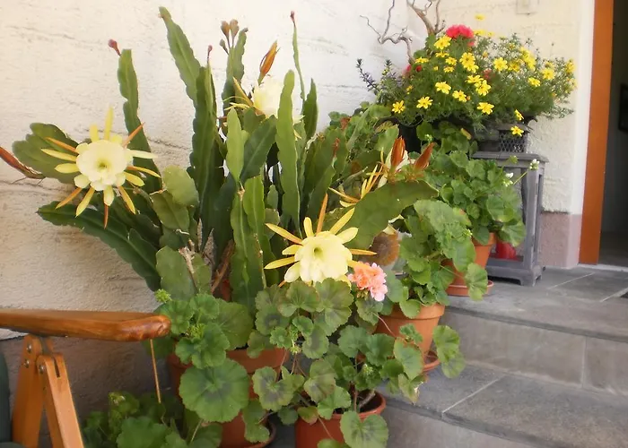 Haus Schoenleiten 公寓