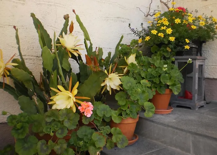 Haus Schoenleiten 公寓 *