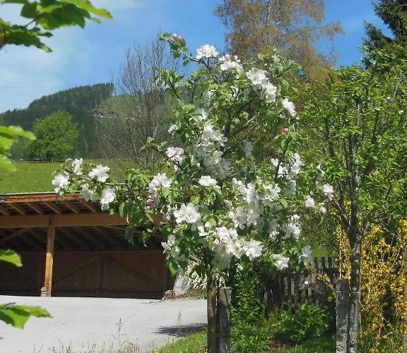 Апартаменты Haus Schoenleiten *