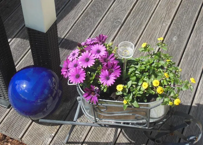 Haus Schoenleiten Апартаменты *