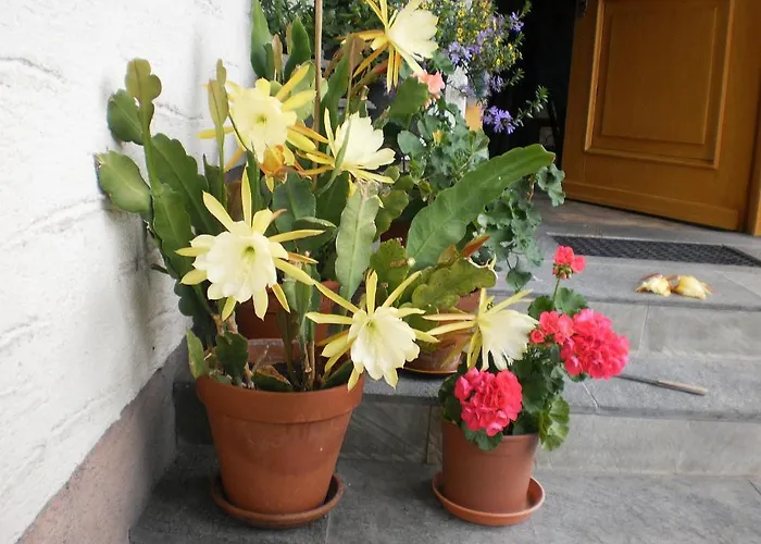 Апартаменты Haus Schoenleiten